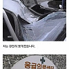 한국인 신체능력이 퇴화했다는 증거