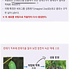 충격적인 애벌레 변태 과정