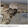 10년간 햄스터 키우기 한우물만 판 디시인