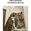 살면서 가져야 할 마음가짐 jpg