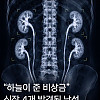 "하늘이 준 비상금(?)"