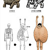 동물의 골격을 인간에 대입하면