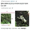 요새 일본에서 제일 핫한 트윗.twt