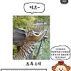 요새 치고 올라오는 봉화군 SNS
