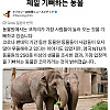 사람이 오면 좋아한다는 동물원 동물