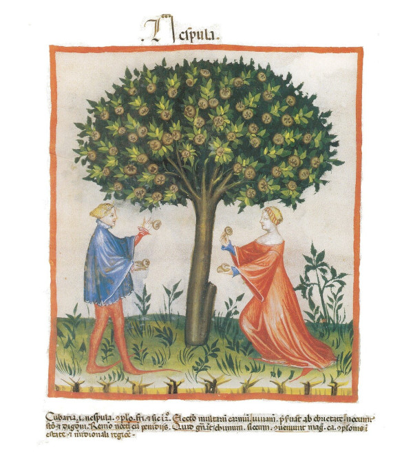 btf0f4ce27052c0ddf3a795cea4a150a9a.jpg