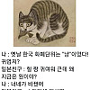 조선의 화폐단위가 귀엽다는 일본인
